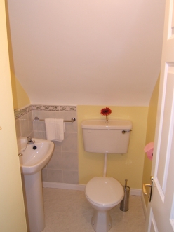 Upstairs Toilet  W/B